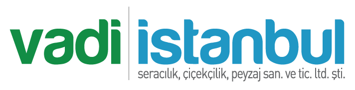 Vadi Sera Çiçekçilik
